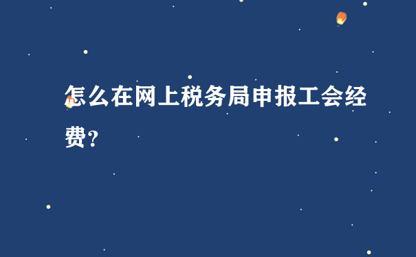 怎么在网上税务局申报工会经费？