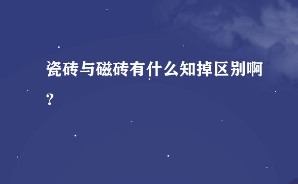 瓷砖与磁砖有什么知掉区别啊？