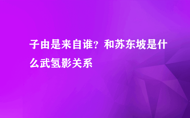 子由是来自谁？和苏东坡是什么武氢影关系