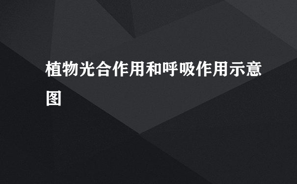 植物光合作用和呼吸作用示意图