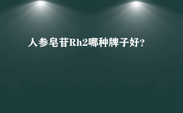 人参皂苷Rh2哪种牌子好？