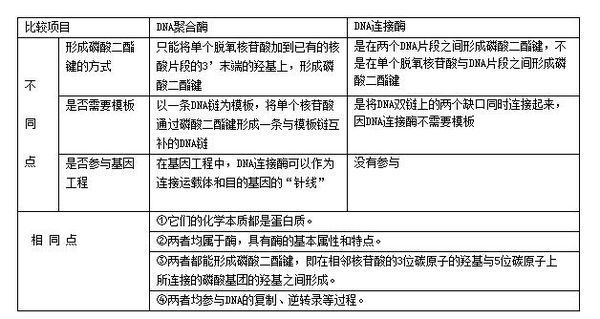 DNA连接酶与DNA聚合酶的区别？