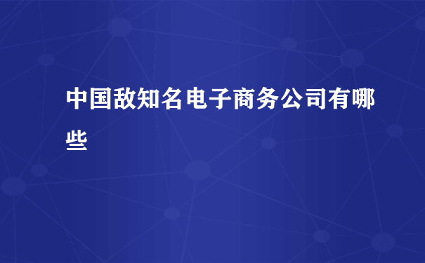 中国敌知名电子商务公司有哪些