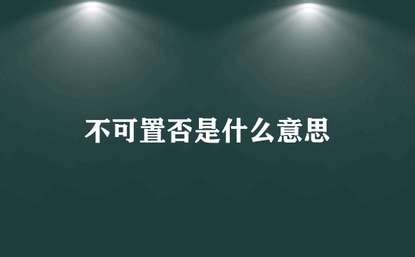 不可置否是什么意思