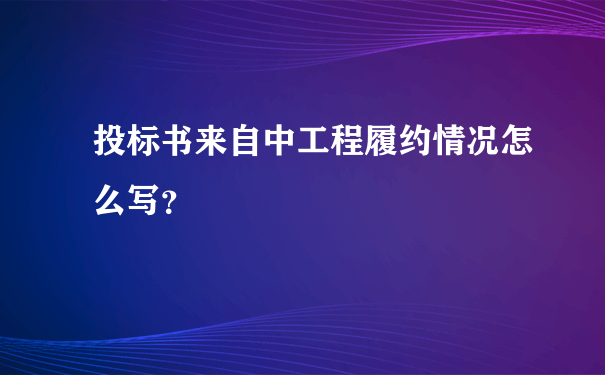 投标书来自中工程履约情况怎么写？