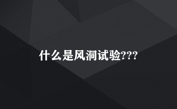 什么是风洞试验???