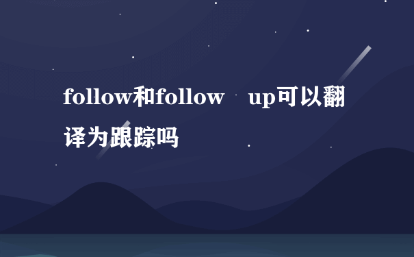 follow和follow up可以翻译为跟踪吗