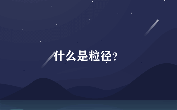 什么是粒径？