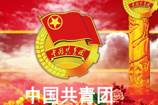 团总支和团支部，团委什么区别?