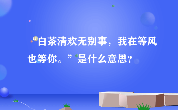 “白茶清欢无别事，我在等风也等你。”是什么意思？