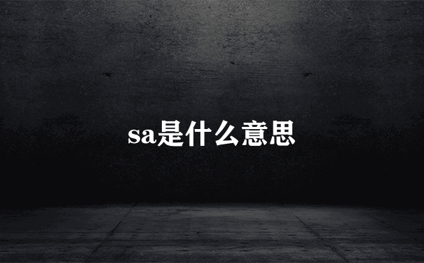 sa是什么意思