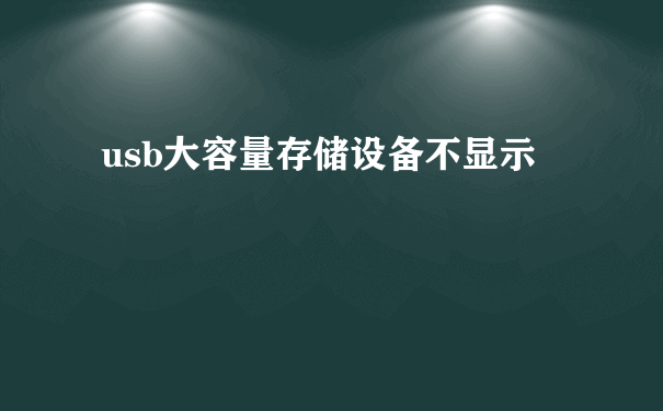 usb大容量存储设备不显示