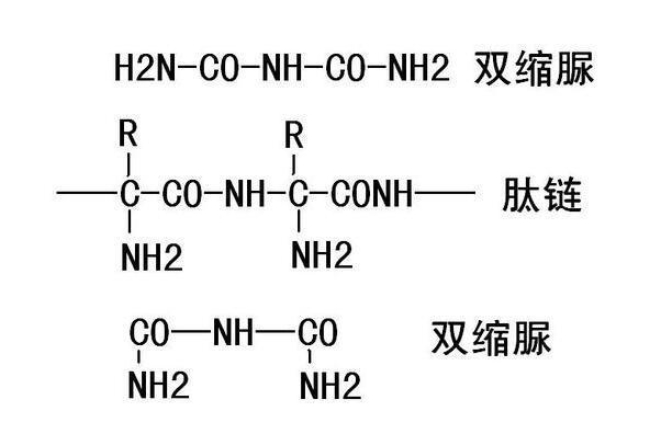 双缩脲反应