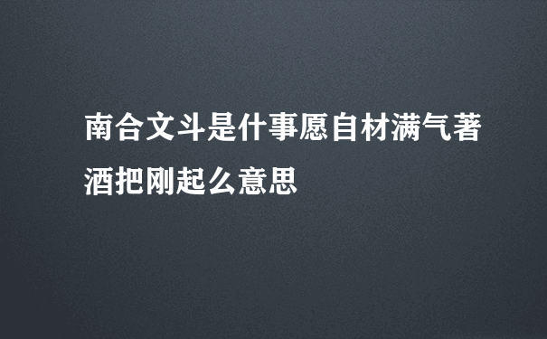 南合文斗是什事愿自材满气著酒把刚起么意思