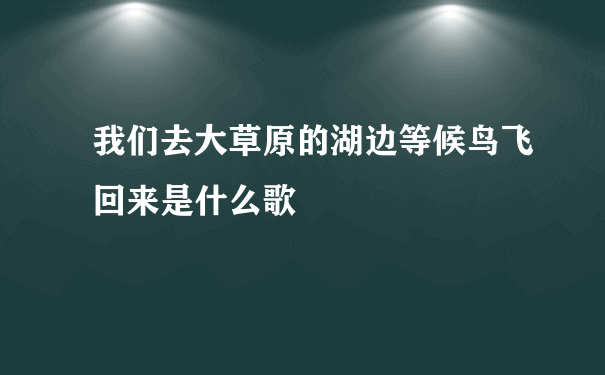 我们去大草原的湖边等候鸟飞回来是什么歌