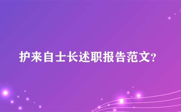 护来自士长述职报告范文？