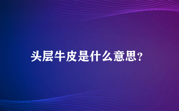 头层牛皮是什么意思？