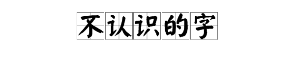 “不认识的字”是什么意思。