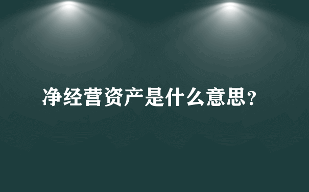 净经营资产是什么意思？