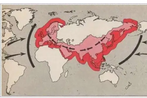 美国道低为什么叫盎撒国家量蒸布评