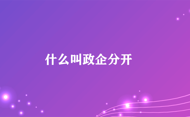 什么叫政企分开 