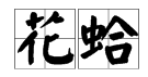 “花蛤”怎么读？