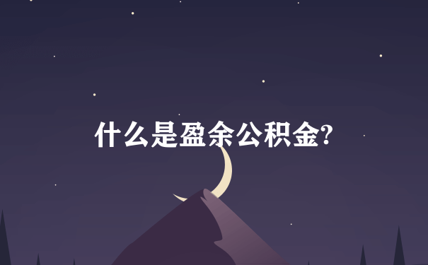 什么是盈余公积金?