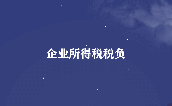 企业所得税税负