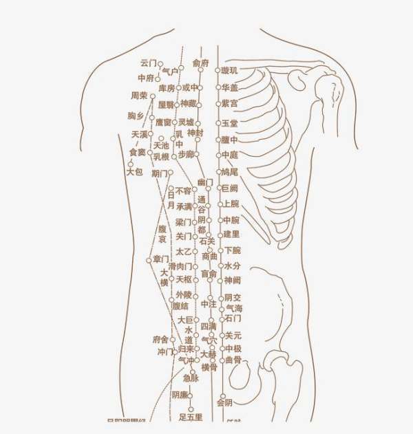 人的身体一共有多少个穴位