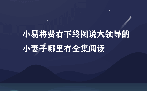 小易将费右下终图说大领导的小妻子哪里有全集阅读