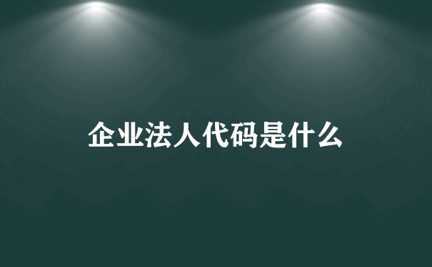 企业法人代码是什么