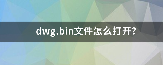 dwg.bi来自n文件怎么打开？