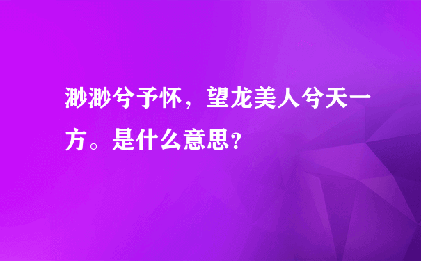 渺渺兮予怀，望龙美人兮天一方。是什么意思？