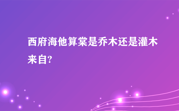 西府海他算棠是乔木还是灌木来自?