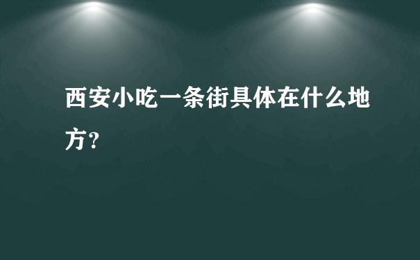 西安小吃一条街具体在什么地方？