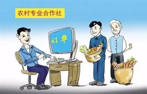 怎样做农民专业合作社的账