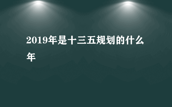 2019年是十三五规划的什么年