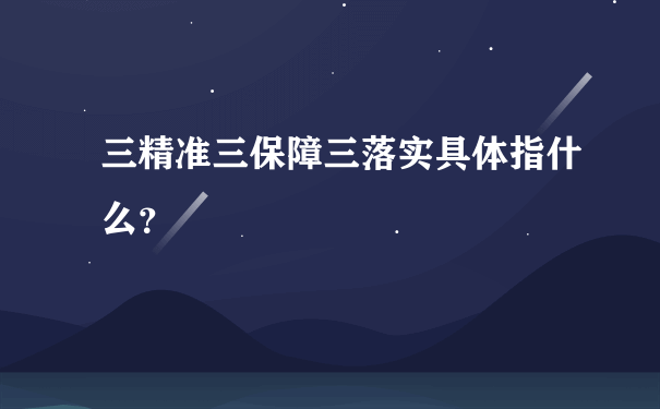 三精准三保障三落实具体指什么？