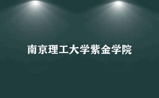 南京理工大学紫金学院