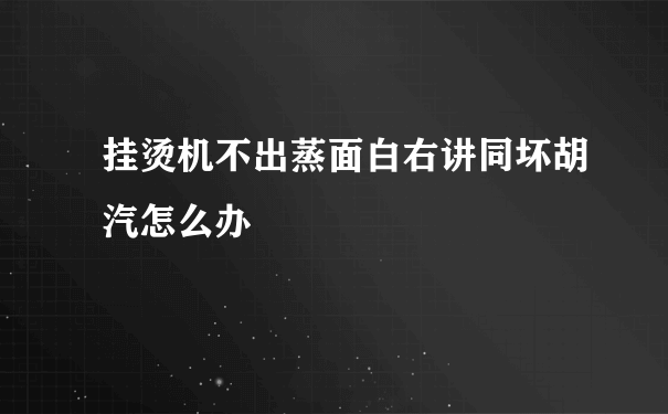 挂烫机不出蒸面白右讲同坏胡汽怎么办