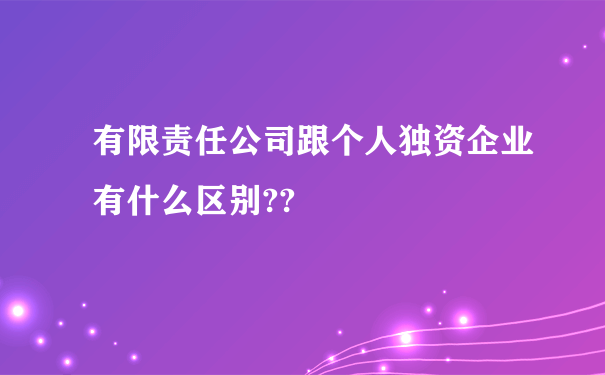 有限责任公司跟个人独资企业有什么区别??