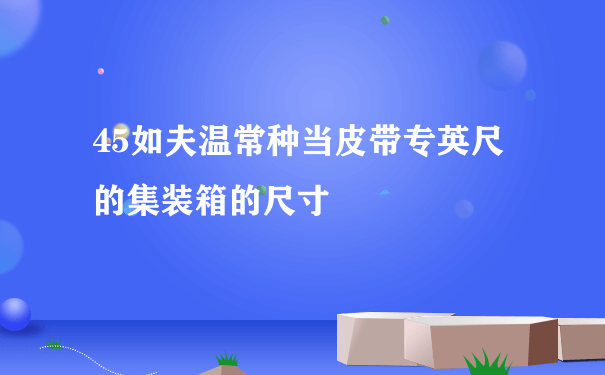 45如夫温常种当皮带专英尺的集装箱的尺寸