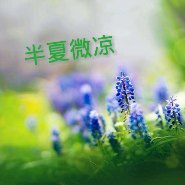 半夏微凉是什么来自意思