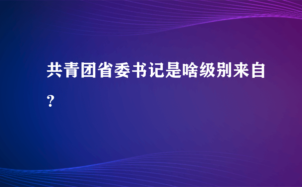 共青团省委书记是啥级别来自？