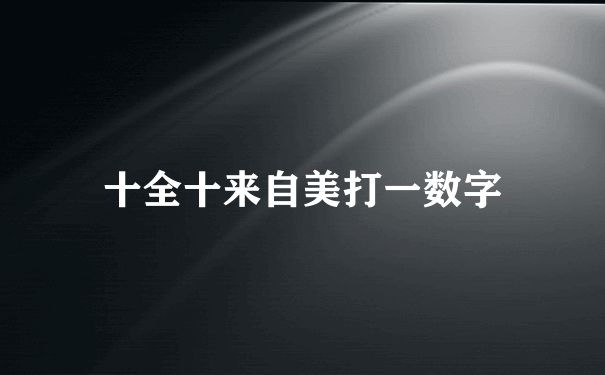 十全十来自美打一数字