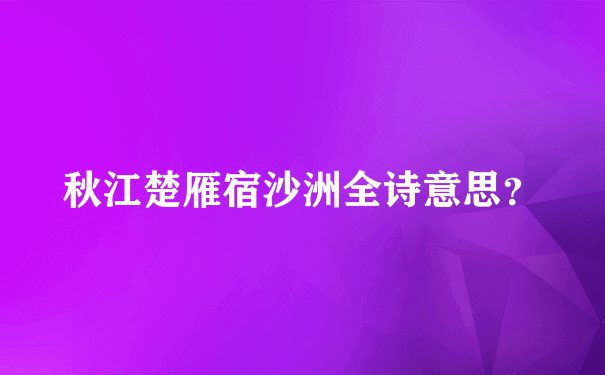 秋江楚雁宿沙洲全诗意思？