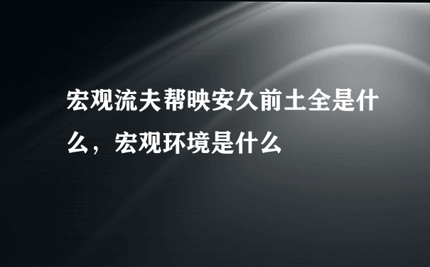 宏观流夫帮映安久前土全是什么，宏观环境是什么