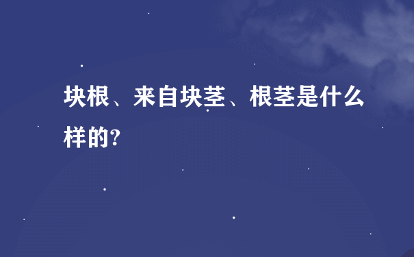 块根、来自块茎、根茎是什么样的?