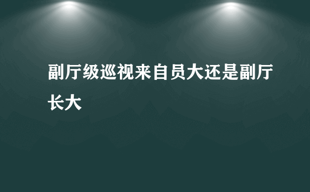 副厅级巡视来自员大还是副厅长大