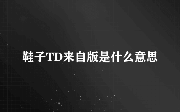 鞋子TD来自版是什么意思